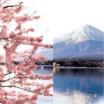 Travel Disability Guide Kindle Edition Amazon-0