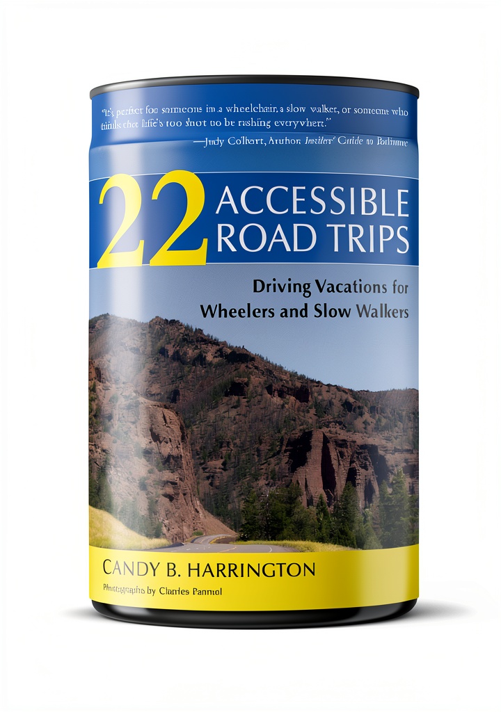 Installing Travel Disability Guide by Demos Health Kindle eBook 337‑Page Edition on a wooden desk